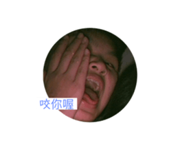 526864371