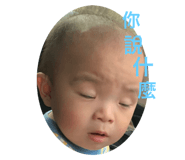 526866431