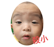 526866441