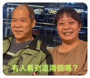 526866445