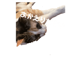 526899489
