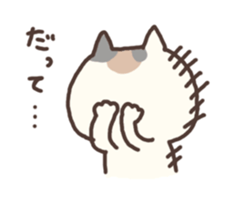 5269041