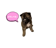 526921470