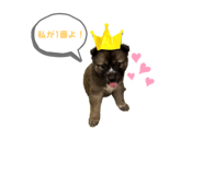 526921474