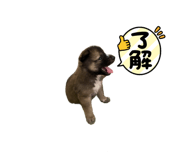 526921475