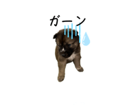 526921476