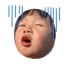 526921805