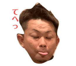 526954241