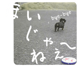 526956483