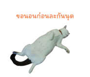 526971262