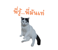 526971263