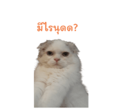 526971264