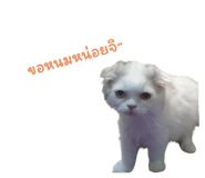 526971269