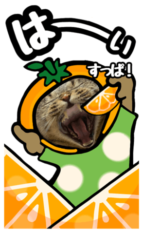 526982806