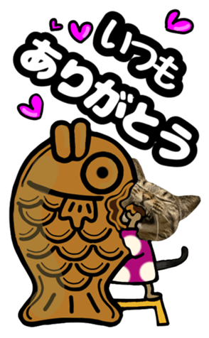 526982818