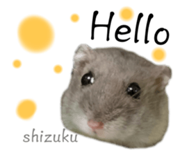 527022071