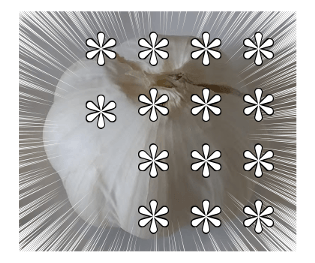 527030632