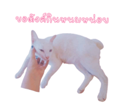 527046598