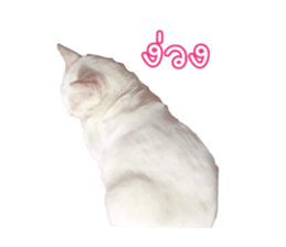 527046600