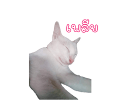 527046601