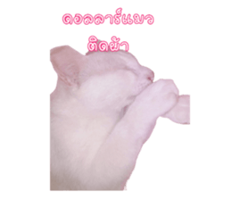 527046603