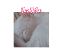 527046605