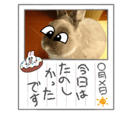 527064346
