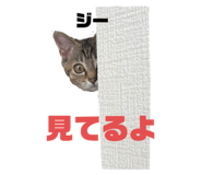 527083992