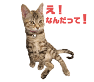 527083995