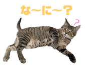 527083997