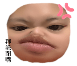 527090010