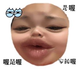 527090019