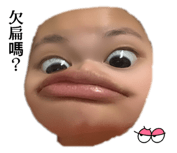 527090020