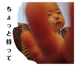 527097354