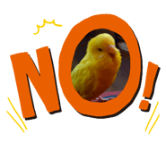 527188312