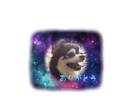 527188914