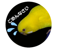 527207494