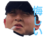527223924