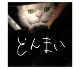 527224955