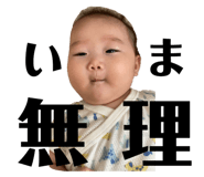 527229333