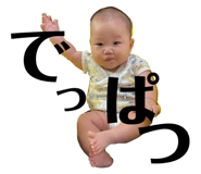 527229343