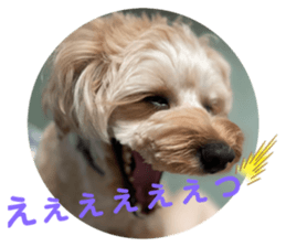 527262618