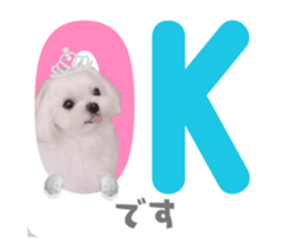 527284885