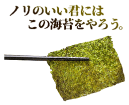 527304072