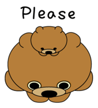 527324855
