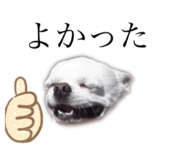 527341673