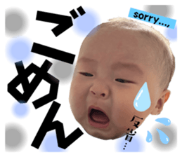 527343081