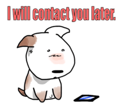 5274010