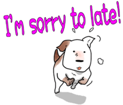 5274031
