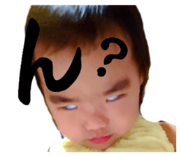 527403445